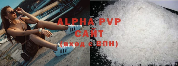 индика Богородск