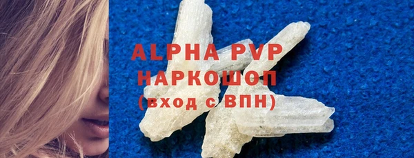 индика Богородск