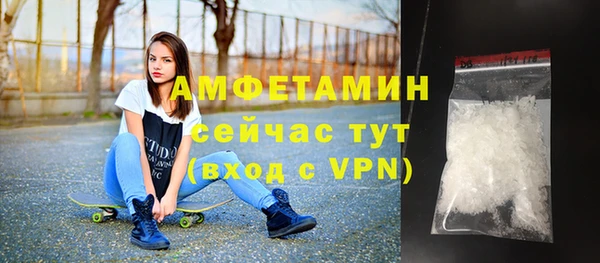 индика Богородск