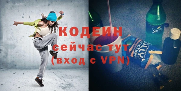 индика Богородск