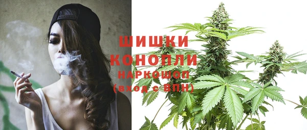 индика Богородск
