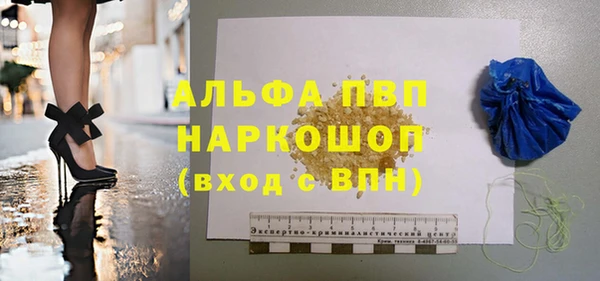 индика Богородск