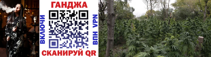 маркетплейс наркотические препараты  Красноперекопск  Каннабис SATIVA & INDICA  где найти наркотики 